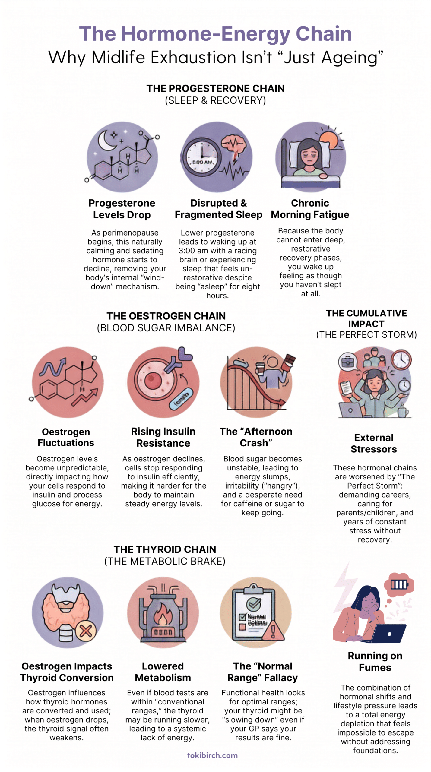  Infographic showing three hormonal chains linking progesterone drop to disrupted sleep, oestrogen decline to blood sugar instability, and thyroid slowing to lowered metabolism.