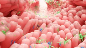 Gut and Probiotics