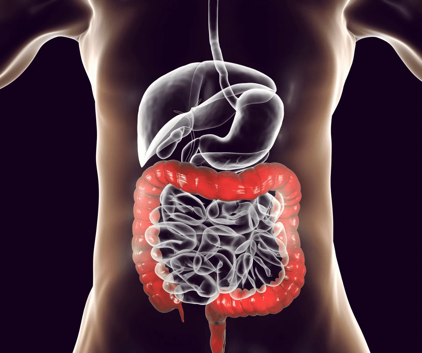 IBS image 4 website