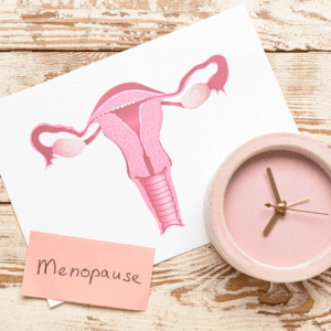 Image reproductive organ female- menopause