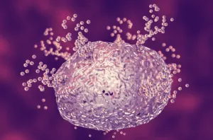 Mast cell releasing histamine