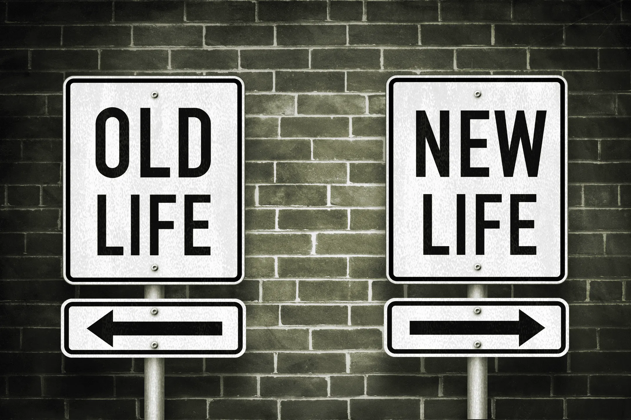 Old Life New Life Old Life New Life