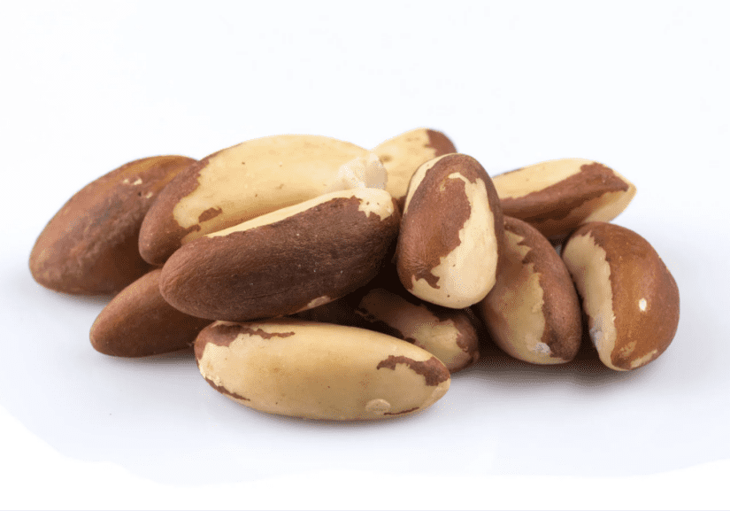 Brazil Nut on a white surface - Brazil nuts - rich in selenium for thyroid health and metabolism support.